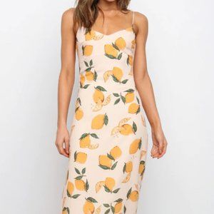 NEW Petal & Pup PEDRO DRESS